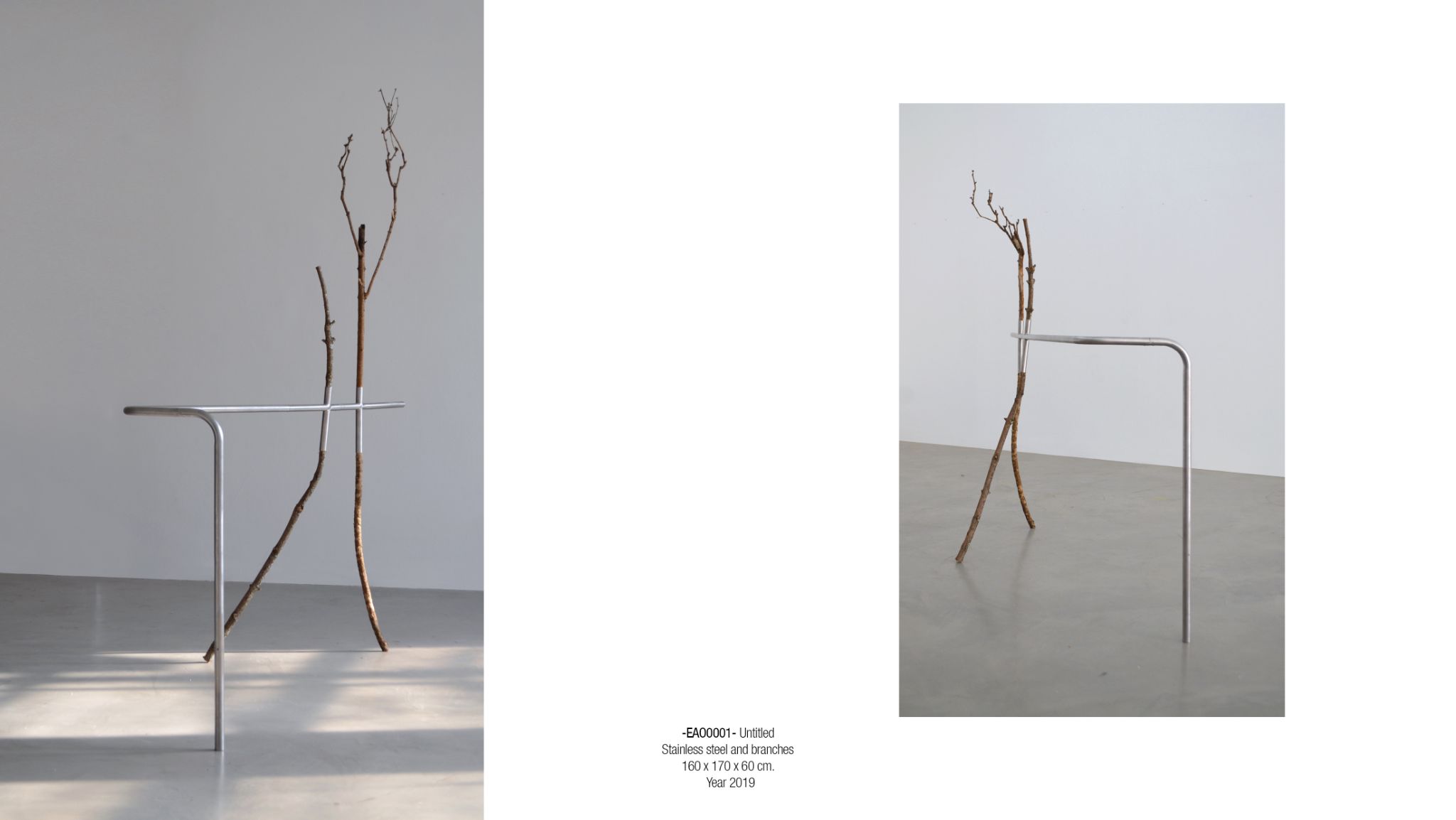 2025 DM port.para web. P41